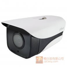 中小型 高清1080P ip網路鏡 筒型戶外一體 強勁防風防水ip67 PoE供電 30M夜視 Eng